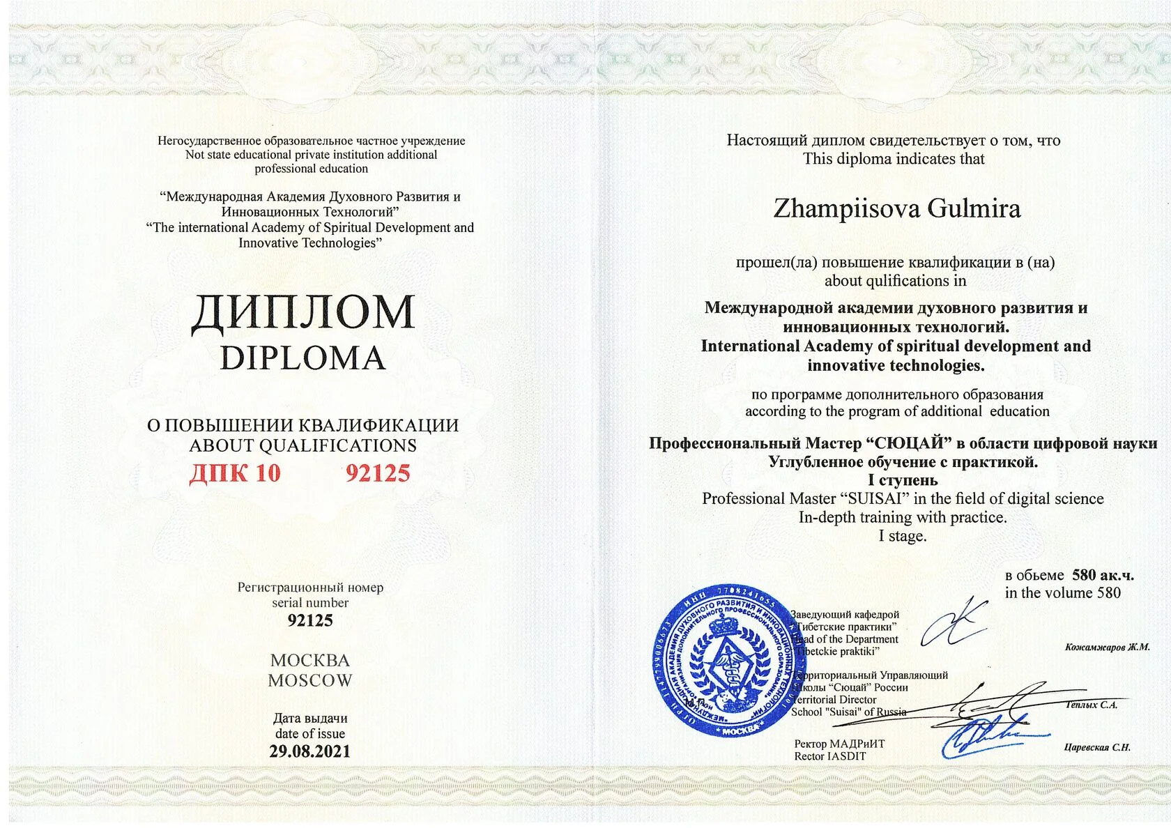 Диплом Сюцай - Профессиональный уровень